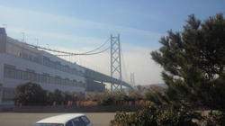 8a8154c6.jpg