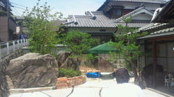 37d03f1e.jpg