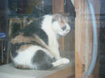 2009_0401_153150-DSCF0538.JPG