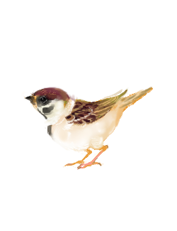 b1ecde0d.png