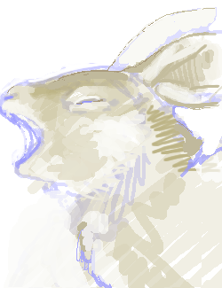 377b2a98.png