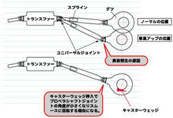 APIO-FAQ.jpg