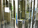 CIMG7067.JPG
