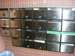 CIMG7116.JPG