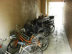 CIMG7055.JPG
