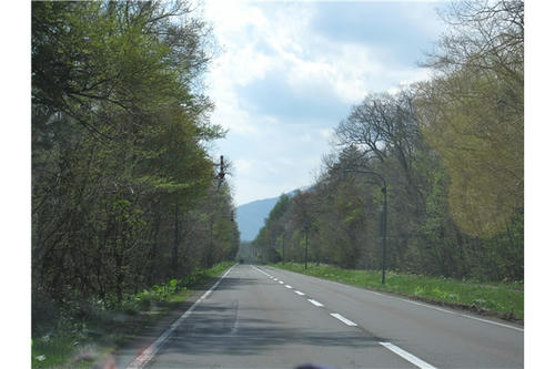 IMG_1886.jpg