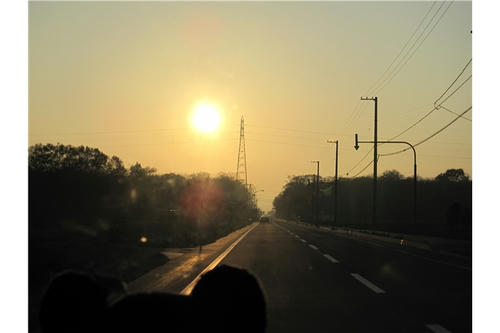 IMG_1933.jpg