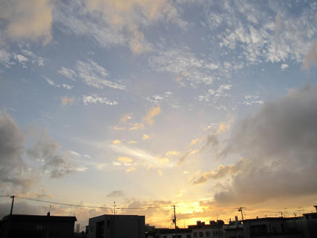 IMG_2071_.jpg