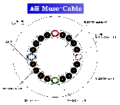 Muse_structure.gif