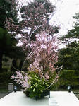 DVC00045.jpg