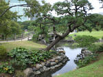 Hama Rikyu Garten