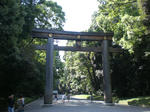 Torii