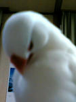 070308_2006_01.jpg