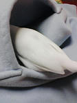 070412_2057_01.jpg