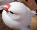 5d87305b.jpg