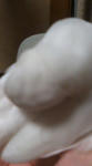 9f739dd2.jpg
