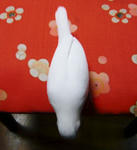 未知への探求心