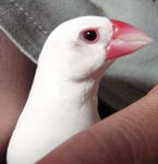 ange0808_2.JPG