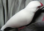 ange0808_5.JPG