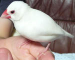 ange0808_6.JPG