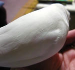 an07.JPG