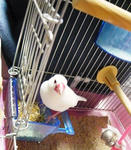 20100516.jpg