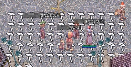 きのこ畑
