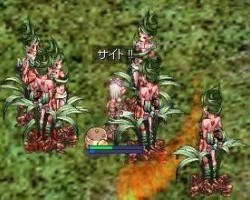 蔓とり