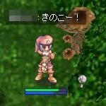 きのこ
