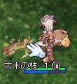 古木の枝