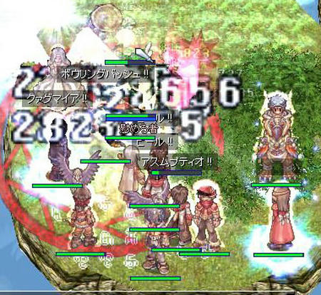 枝！！