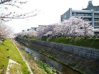 P1090630.jpg