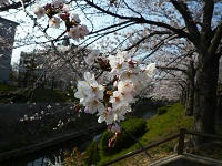 P1090635.jpg