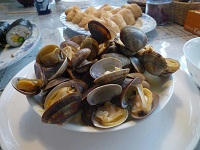 P1100160.jpg