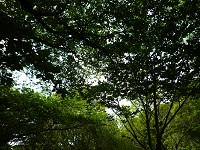P1100164.jpg