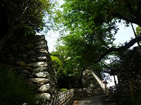 P1100171.jpg