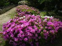 P1100176.jpg