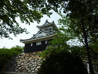 P1100177.jpg