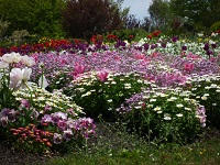 P1100037.jpg
