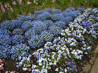 P1100042.jpg