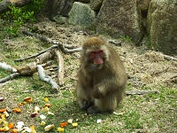 P1100066.jpg