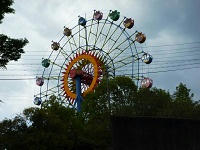 P1100097.jpg