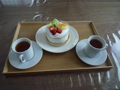 P1100426.jpg