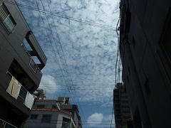 P1110230.jpg