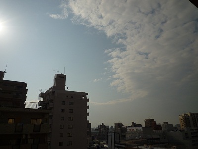 P1150838.jpg