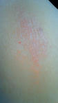hadaare-080507-2.JPG