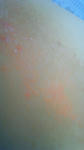 hadaare-080715-1.JPG