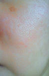 hoho-080811-up.JPG