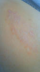 hadaare-081002-3.jpg