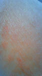 hadaare-090101-2.jpg